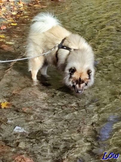 2.11.2025 - Dwix nimmt ein Fußbad